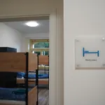 Leharo Hostel *